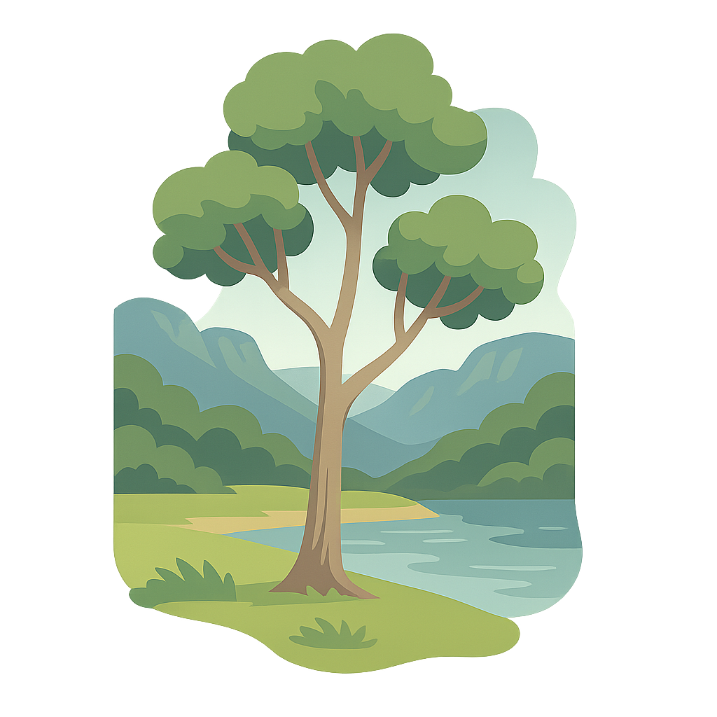 Australian eucalyptus tree landscape